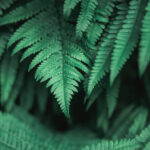 2023襄马全程直播:奔跑襄阳,激情开赛! 0i0g8tpbtn