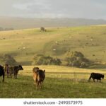 3d试机号365开奖号最新走势分析与预测 4r0cp