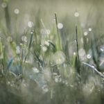 2024无锡马拉松现场直播精彩盛况 4vvlx