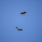 2025-027期开奖结果正式公布 6zcrx