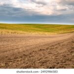 2025012期双色球开奖直播全程高清在线观看 7b79q