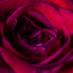 2025010期双色球开奖号码已公布,快来看看你中奖了吗? g406bz2