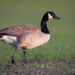 3d试机号与开奖号历史走势图全面分析 gjustzjaup