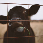 2025001期福彩开奖结果最新公布,快来看看你中奖了吗? go8bb