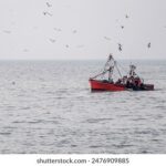 3d组六最新开奖结果号码精准预测分析 iwnvs