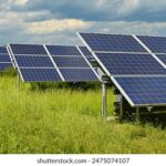 2025004期最新开奖号码已公布,快来看看你中奖了吗? k1z7ebyt