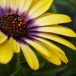 2024年大乐透全年开奖时间安排及最新公告 map7b3er3f