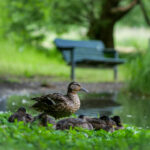 3d试机号与开奖号对应走势图最新分析 r8oi42po