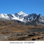 202500期双色球开奖号码精准预测分析 vletdtb41e