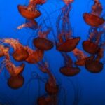 2025015期开奖结果查询与中奖号码公布 y1v5knpevb